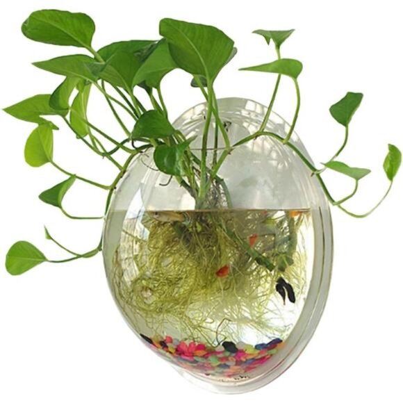 Hanging Wall Mounted Fish Bowl Betta Tank Aquarium Wall Decor Plant Fish Bubble - Picture 1 of 6